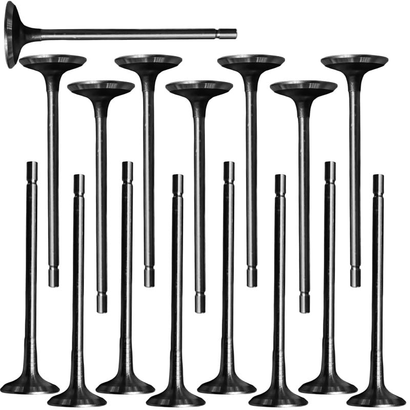 Intake and Exhaust Valves