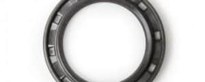 Crankshaft Oil Seal